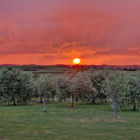 Podere Molinaccio Panicale Dış mekan fotoğraf