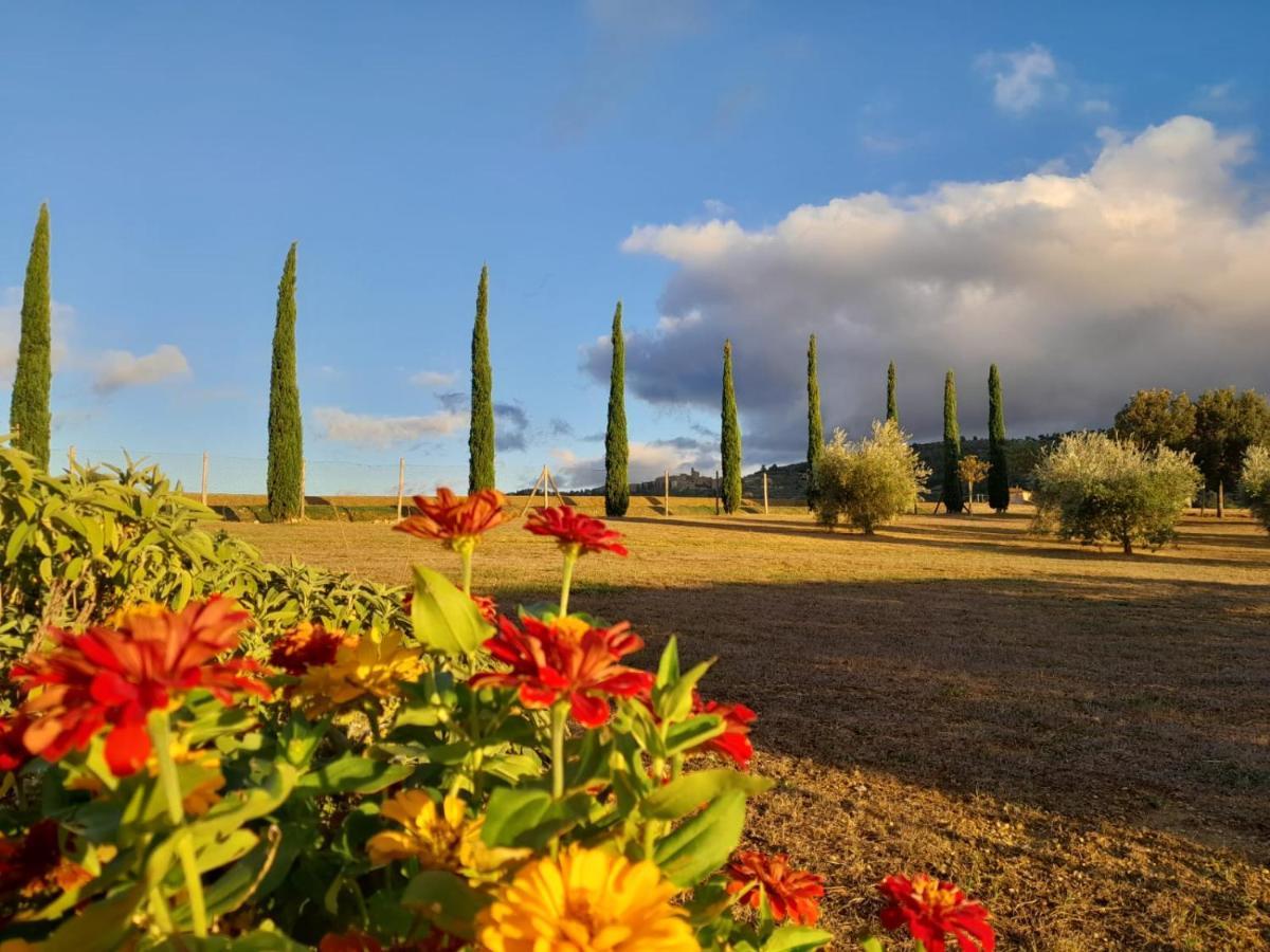 Podere Molinaccio Panicale Dış mekan fotoğraf