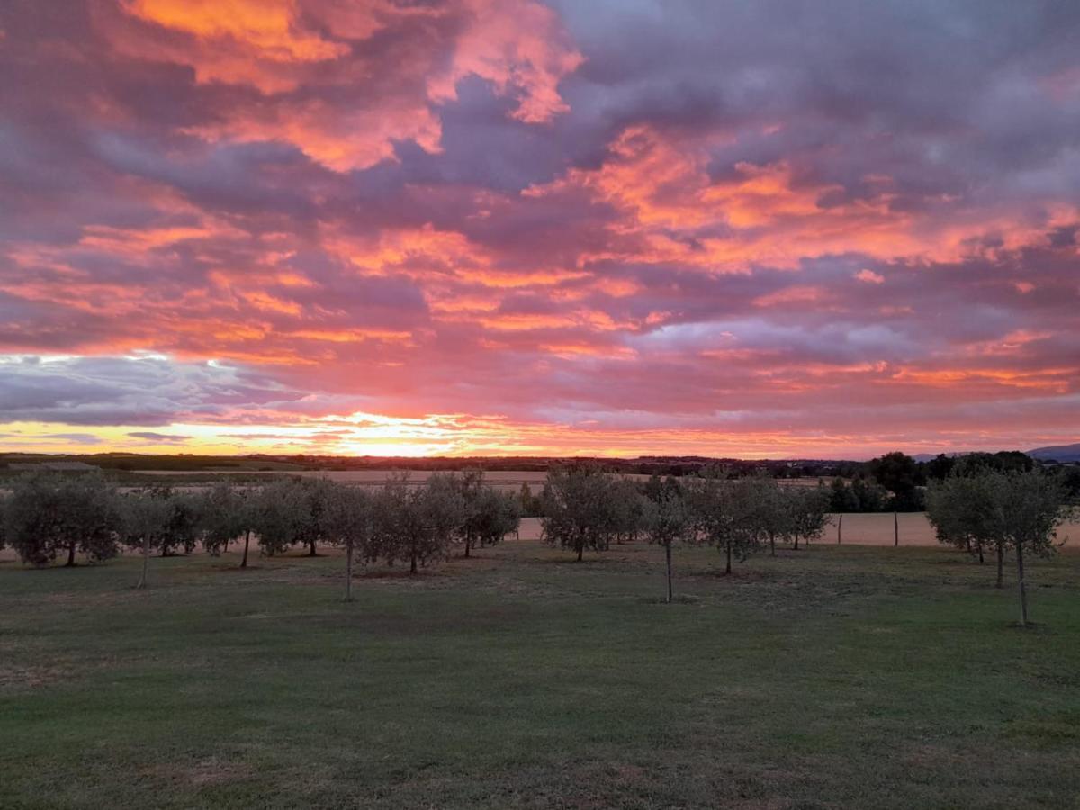 Podere Molinaccio Panicale Dış mekan fotoğraf