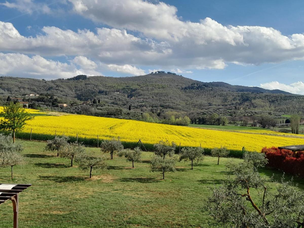 Podere Molinaccio Panicale Dış mekan fotoğraf