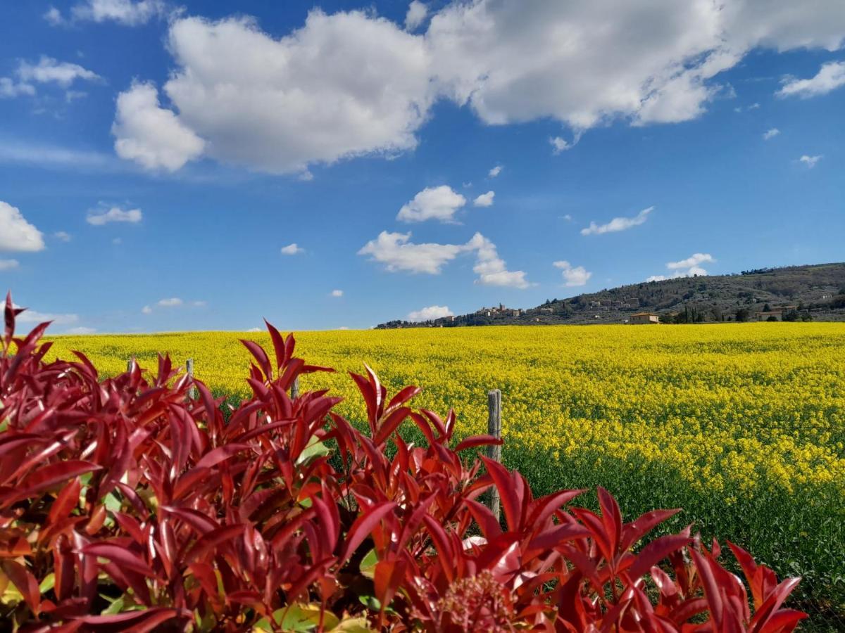 Podere Molinaccio Panicale Dış mekan fotoğraf