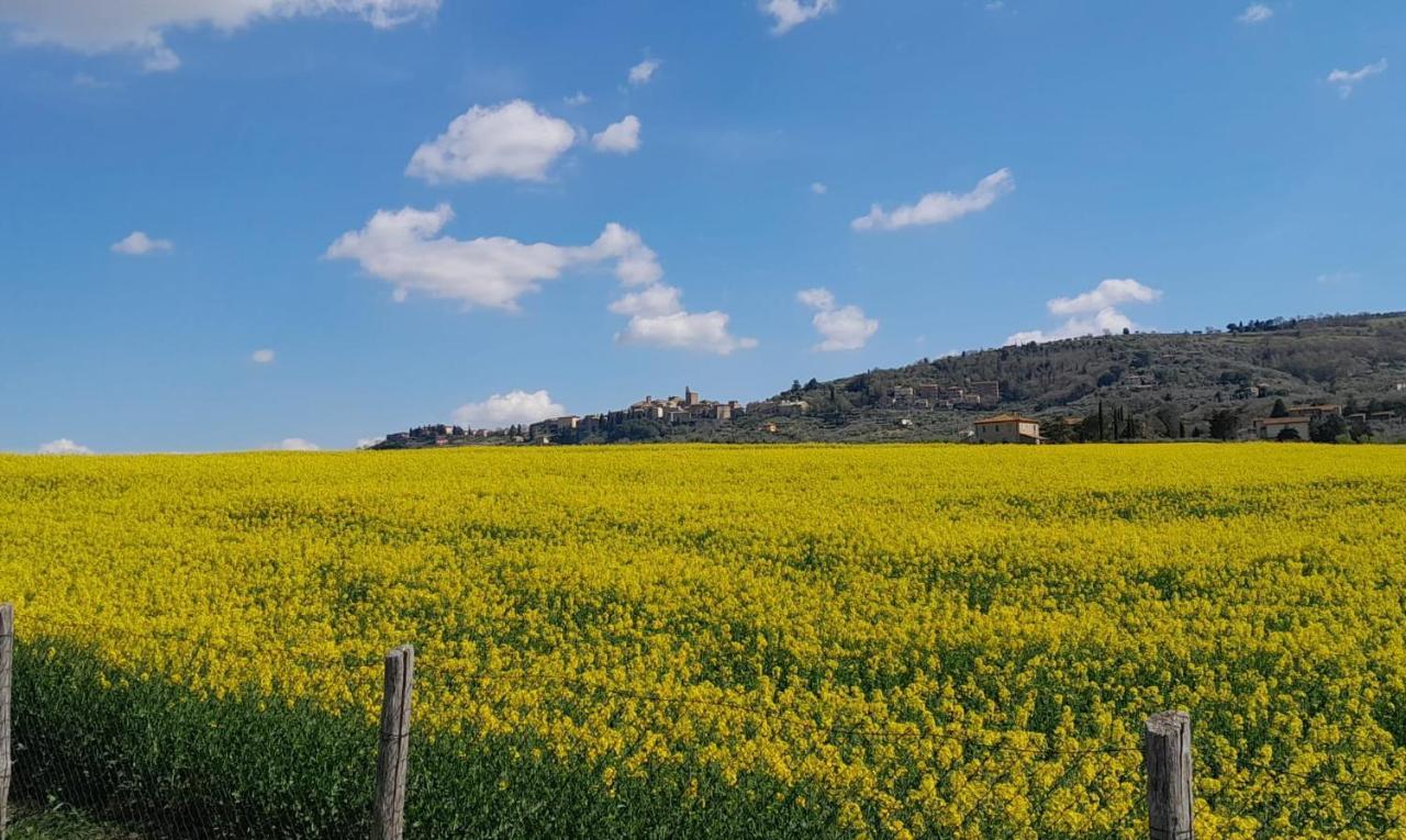 Podere Molinaccio Panicale Dış mekan fotoğraf