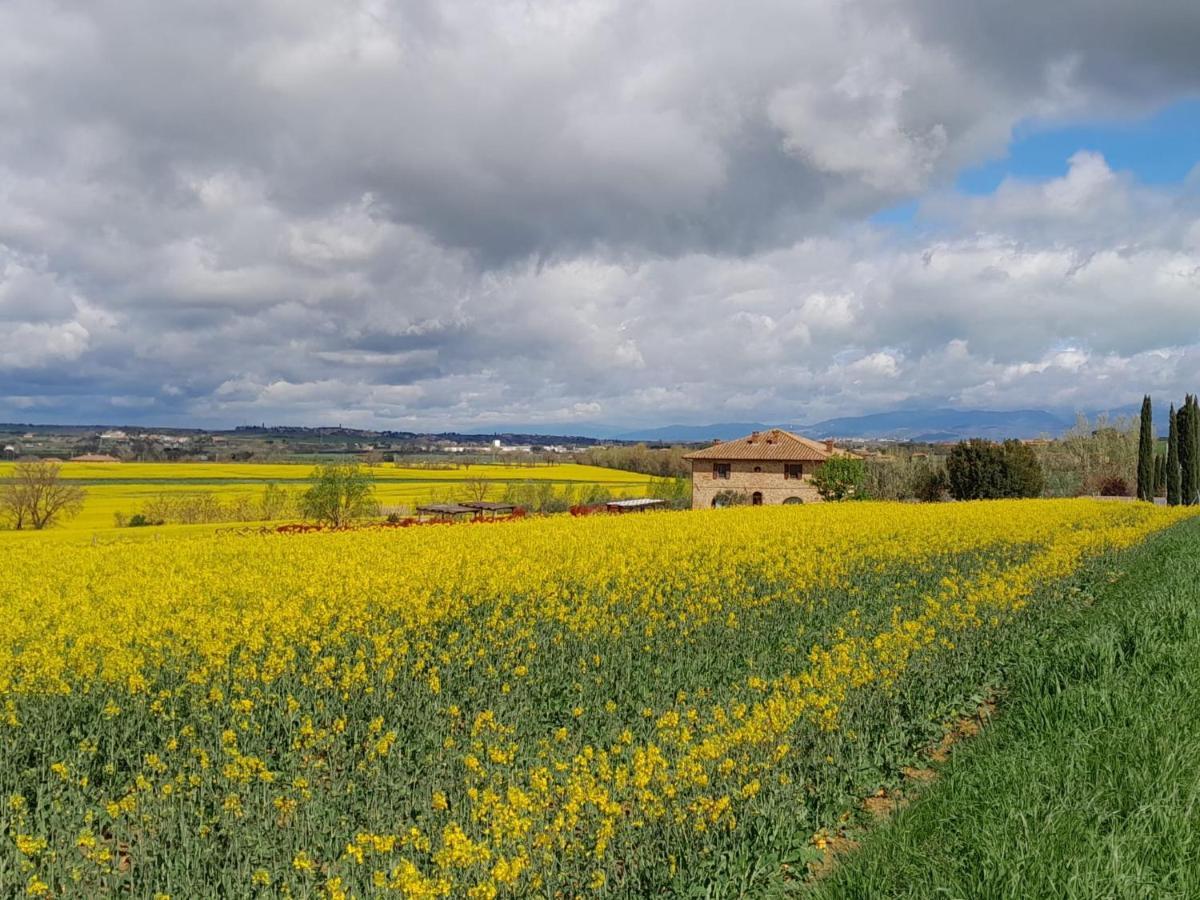 Podere Molinaccio Panicale Dış mekan fotoğraf