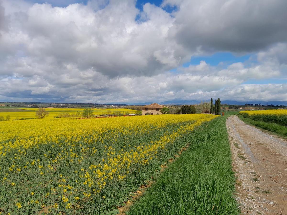Podere Molinaccio Panicale Dış mekan fotoğraf