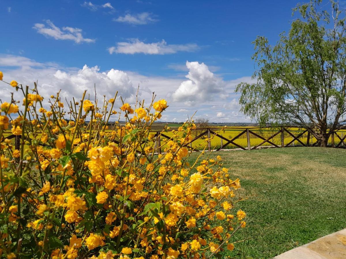 Podere Molinaccio Panicale Dış mekan fotoğraf