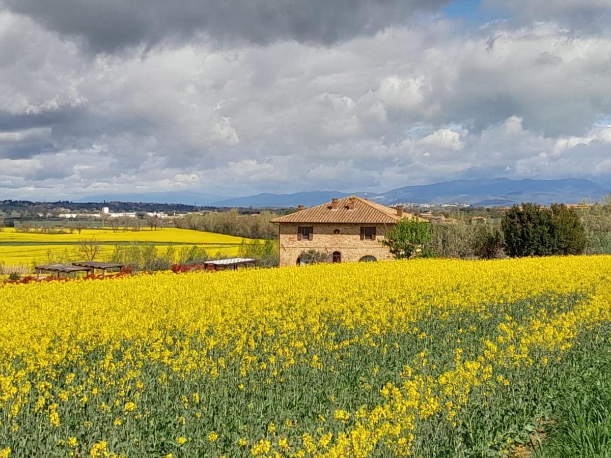 Podere Molinaccio Panicale Dış mekan fotoğraf