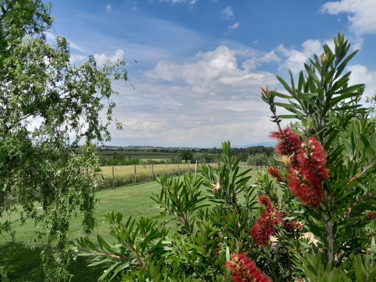 Podere Molinaccio Panicale Dış mekan fotoğraf