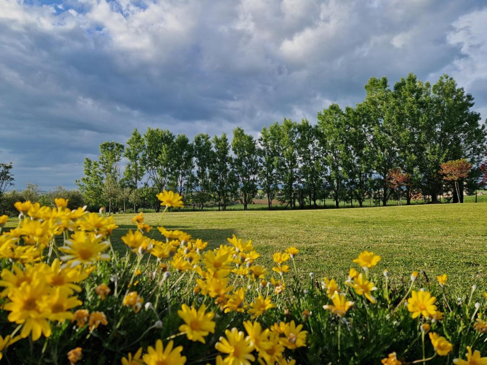 Podere Molinaccio Panicale Dış mekan fotoğraf