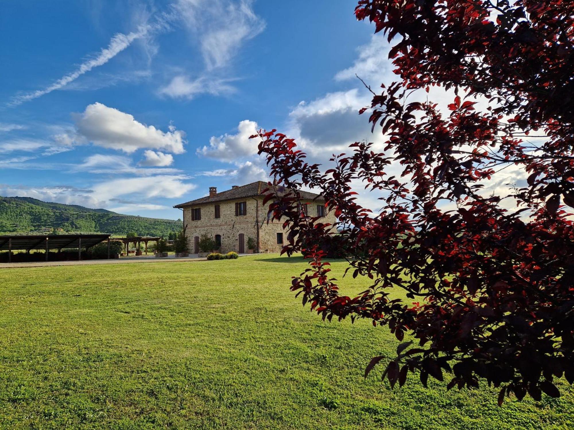 Podere Molinaccio Panicale Dış mekan fotoğraf