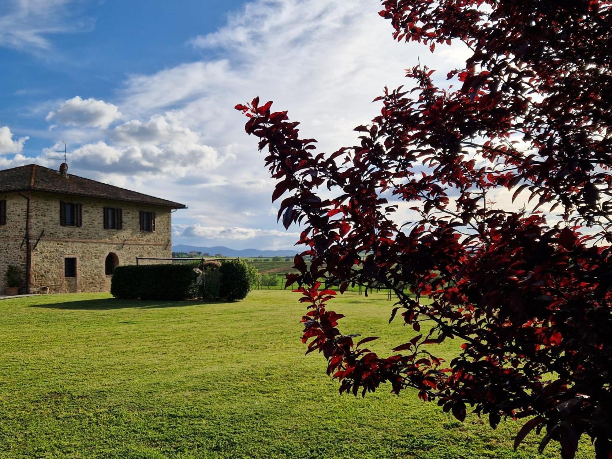 Podere Molinaccio Panicale Dış mekan fotoğraf