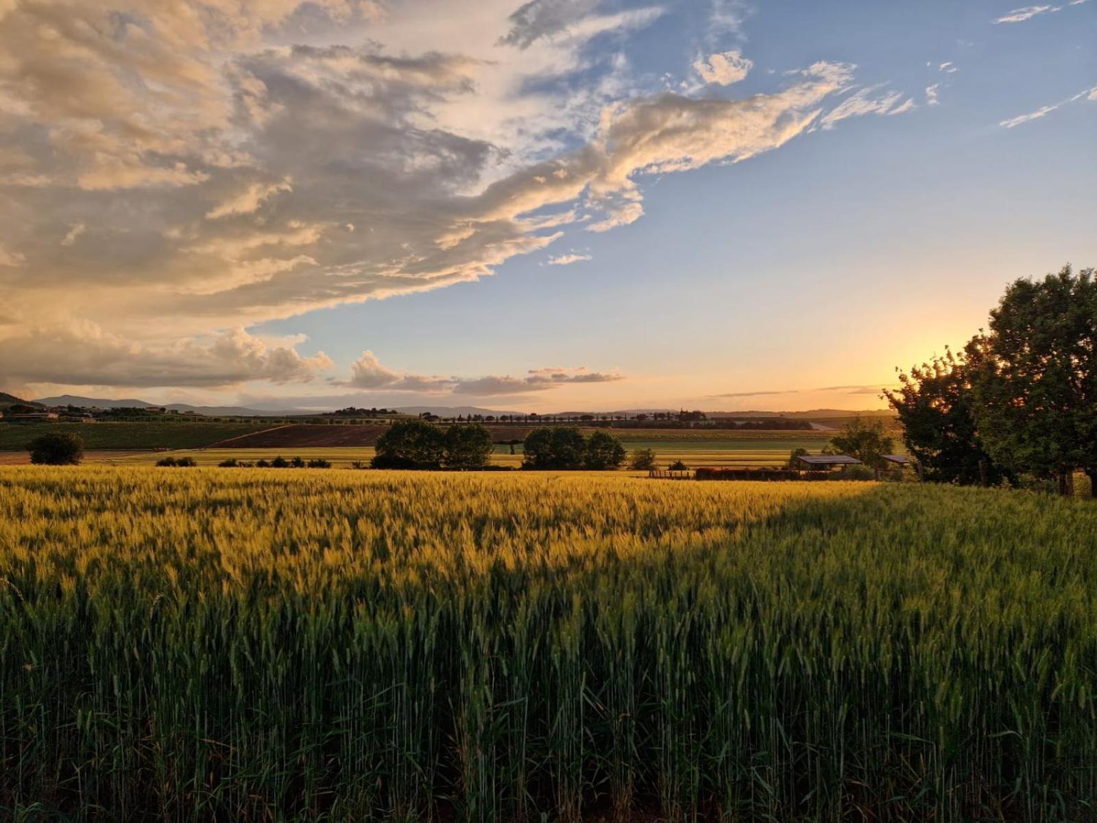 Podere Molinaccio Panicale Oda fotoğraf