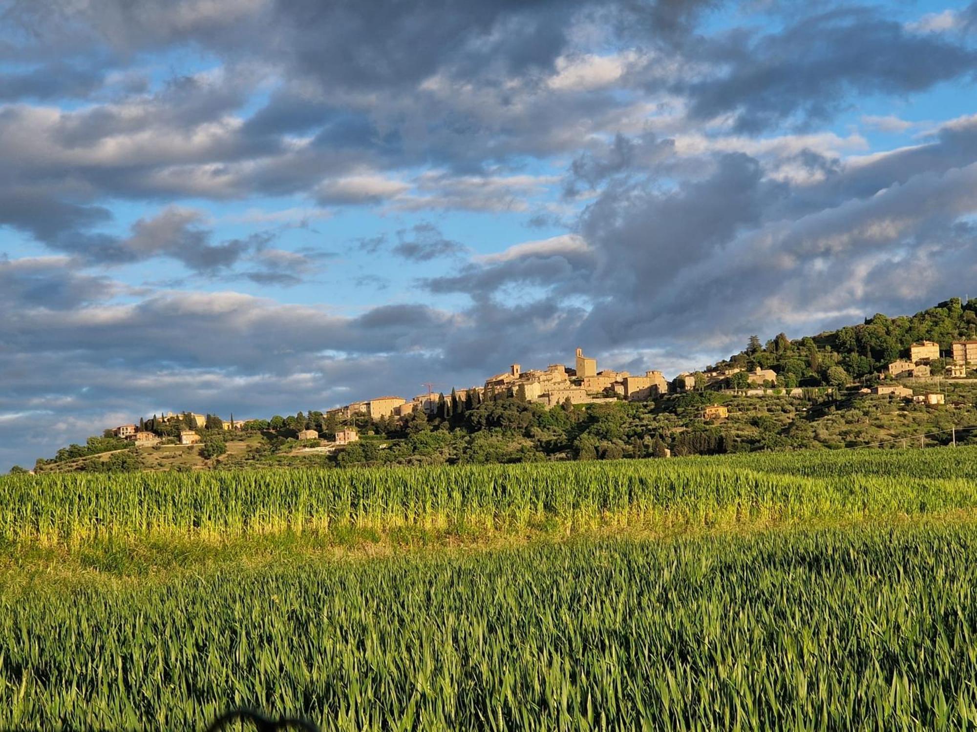 Podere Molinaccio Panicale Oda fotoğraf