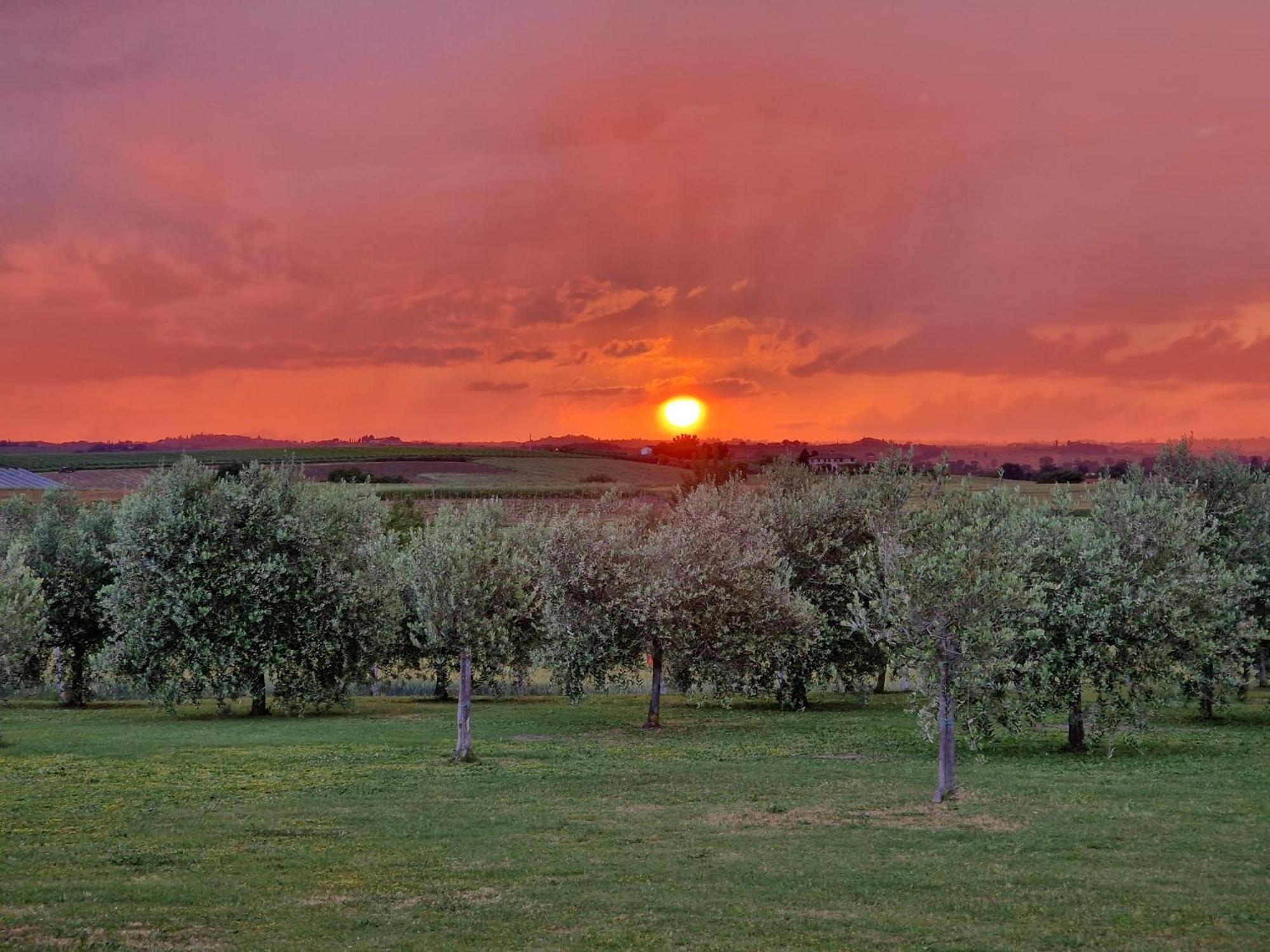 Podere Molinaccio Panicale Dış mekan fotoğraf