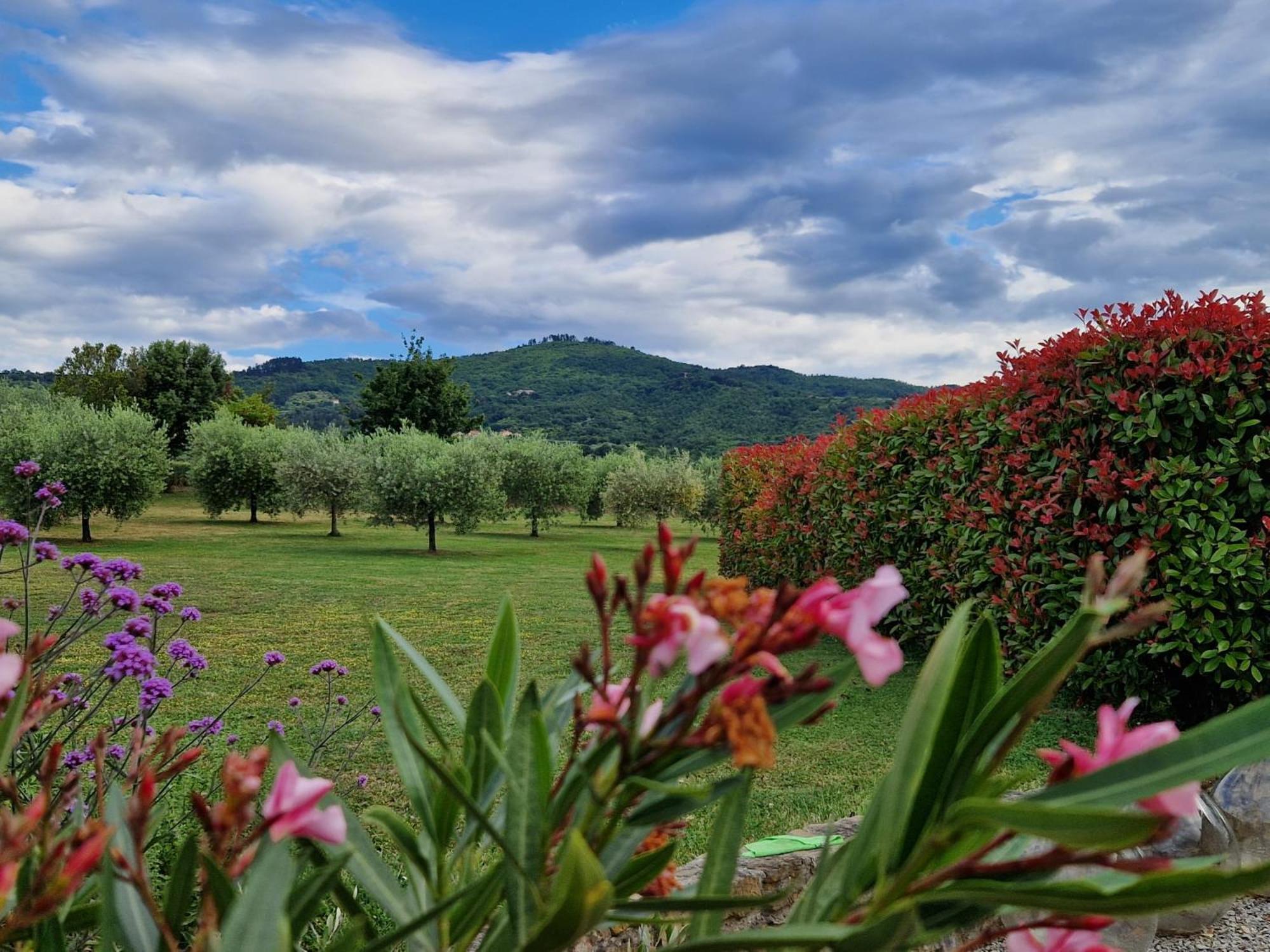 Podere Molinaccio Panicale Dış mekan fotoğraf