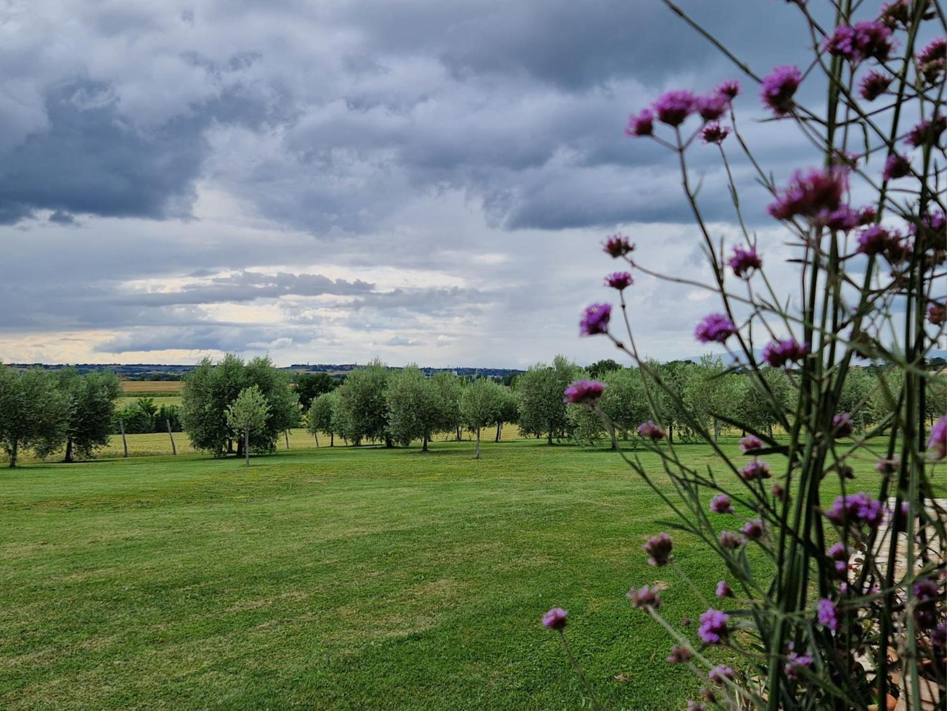 Podere Molinaccio Panicale Dış mekan fotoğraf