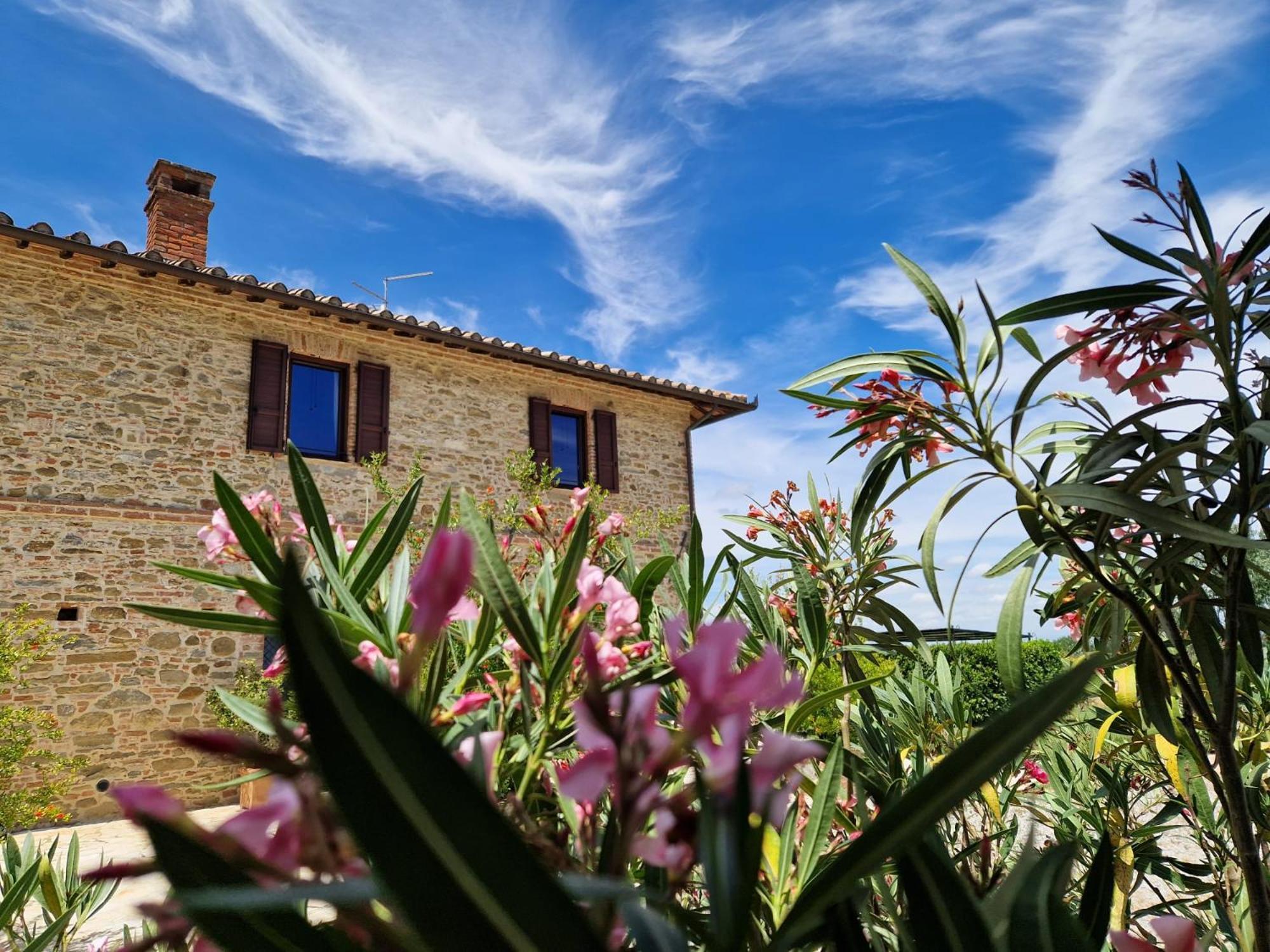 Podere Molinaccio Panicale Dış mekan fotoğraf