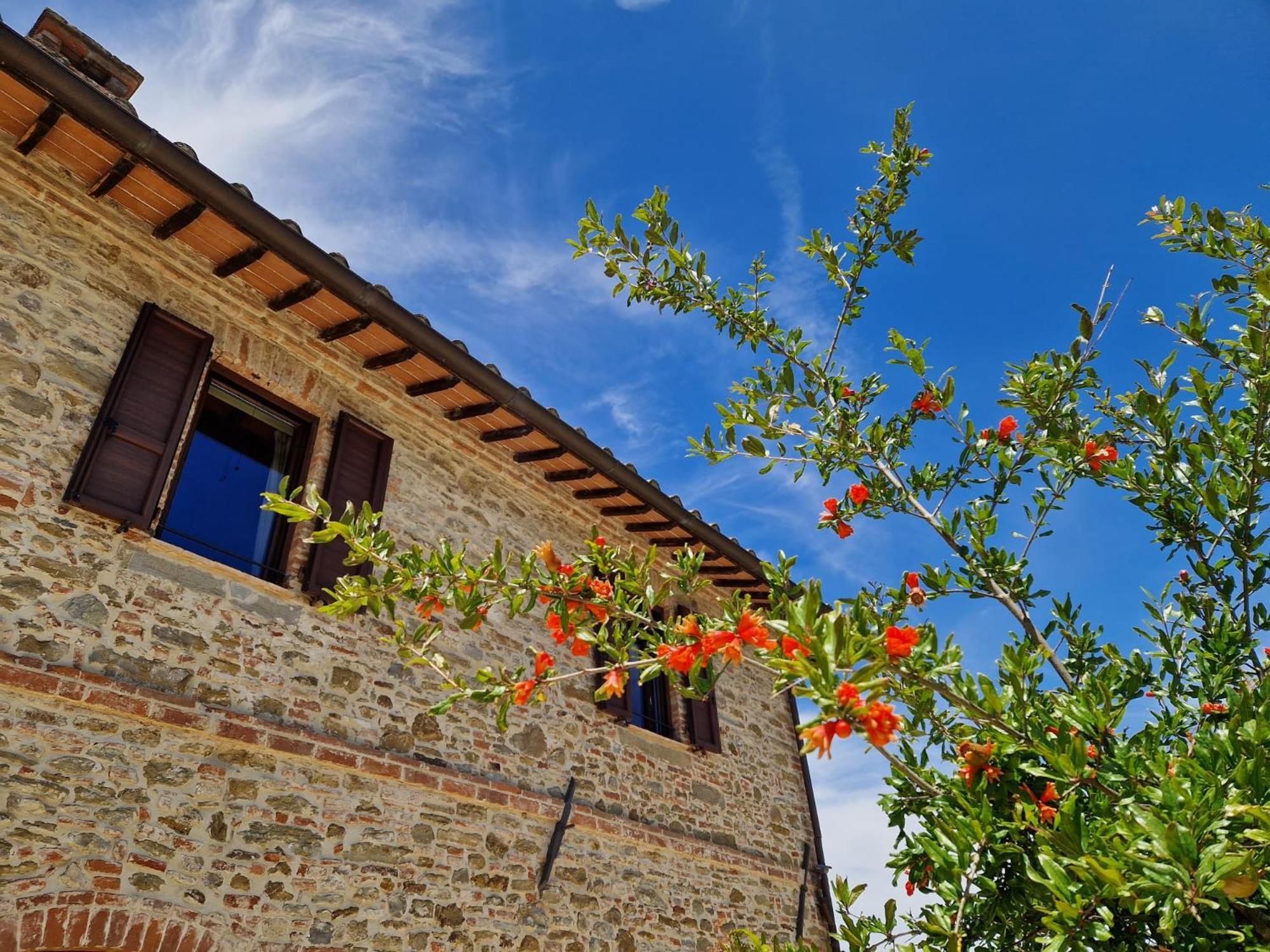 Podere Molinaccio Panicale Dış mekan fotoğraf