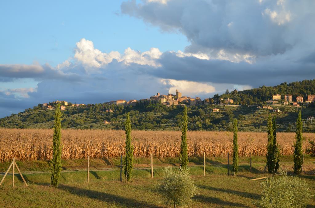 Podere Molinaccio Panicale Oda fotoğraf